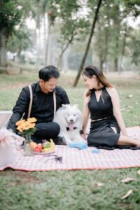 WhatsApp Image 2024-10-21 at 11.14